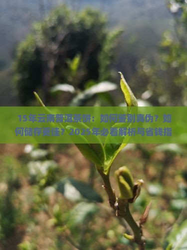 15年的云南普洱茶饼