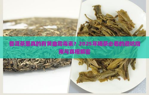 普洱茶中存在黄曲霉毒素吗