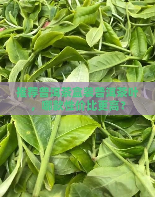装普洱茶盒推荐哪款茶叶