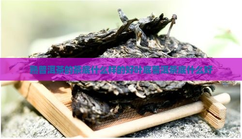 熟普洱茶的茶底什么样的好