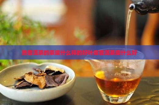 熟普洱茶的茶底什么样的好