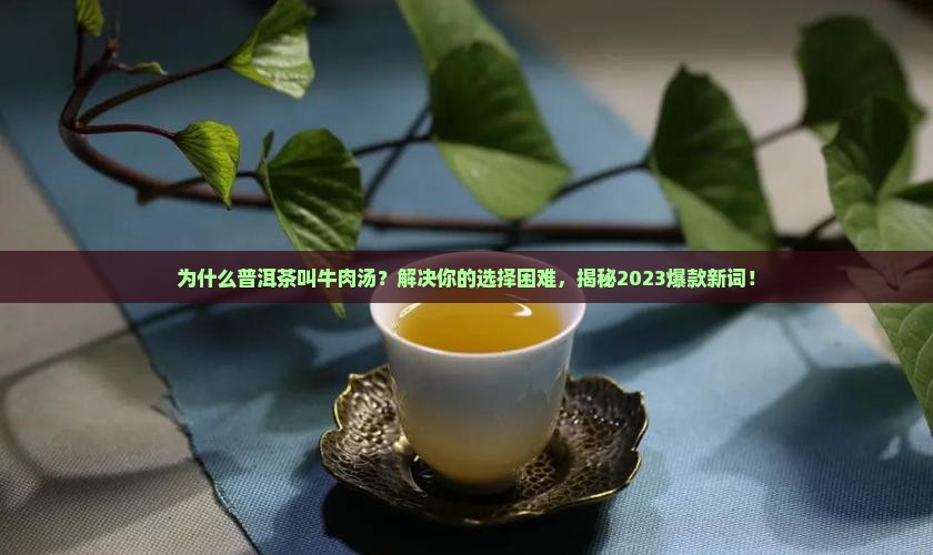 普洱茶为什么叫牛肉汤