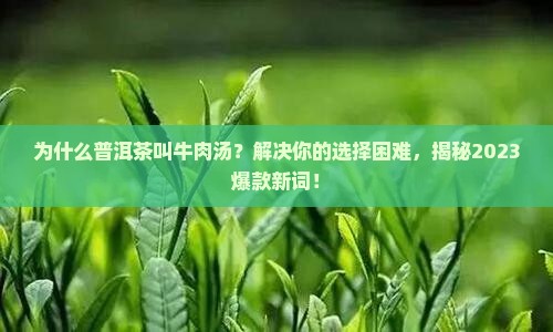普洱茶为什么叫牛肉汤