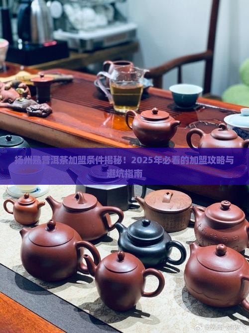 扬州熟普洱茶加盟条件