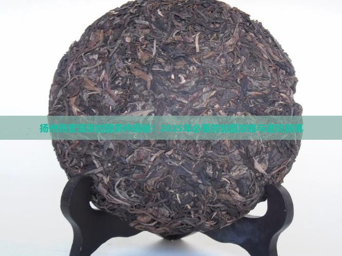 扬州熟普洱茶加盟条件
