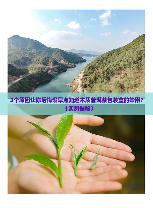 木质普洱茶包装盒