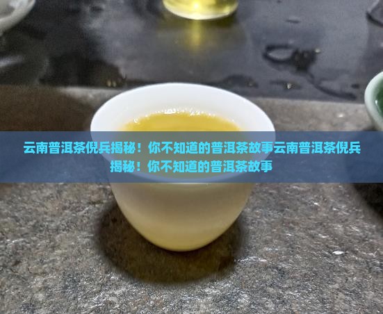 云南普洱茶倪兵