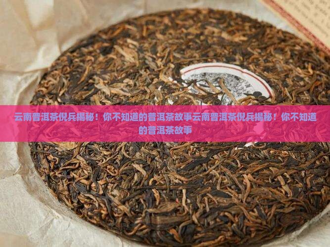 云南普洱茶倪兵