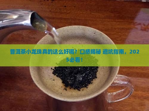 普洱茶小龙珠口感特点分析