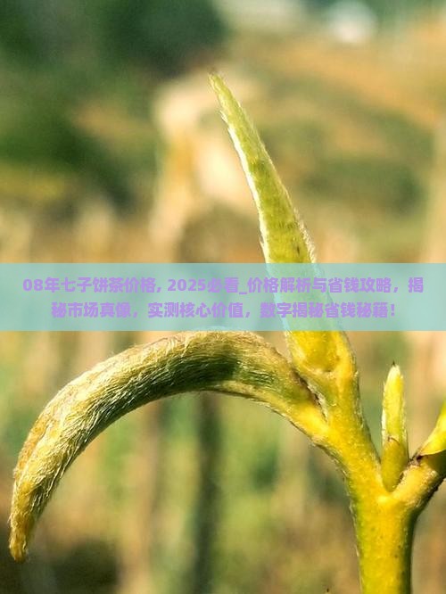 08年七子饼茶价格
