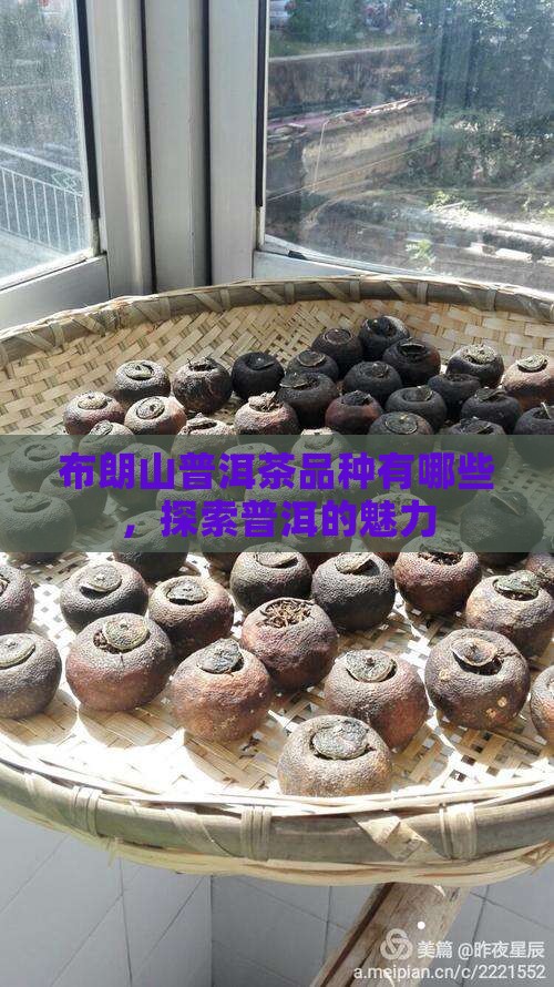 布朗山普洱茶有几个品种