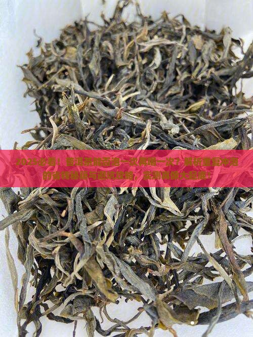 普洱茶能否泡一次再喝一次呢