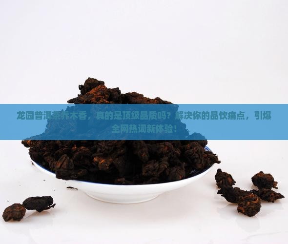 龙园普洱茶乔木香