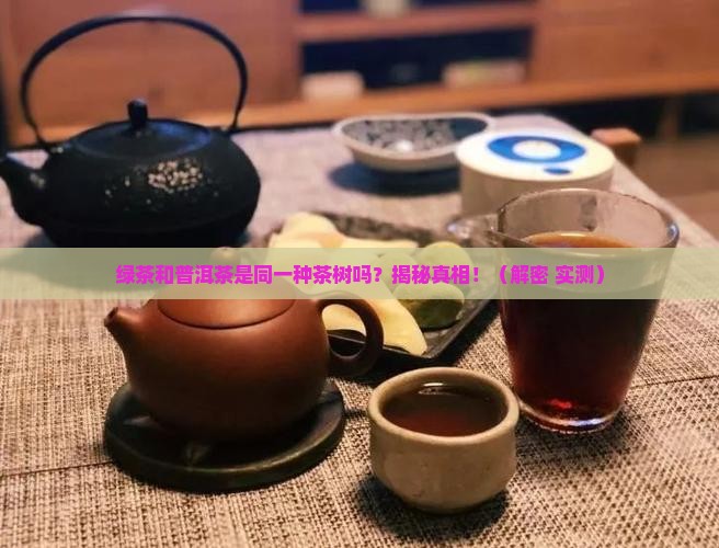 绿茶和普洱茶一样茶树吗
