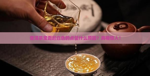 普洱茶里面起白色的点