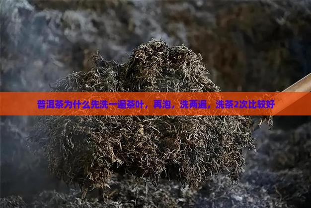普洱茶为什么先洗一遍茶叶