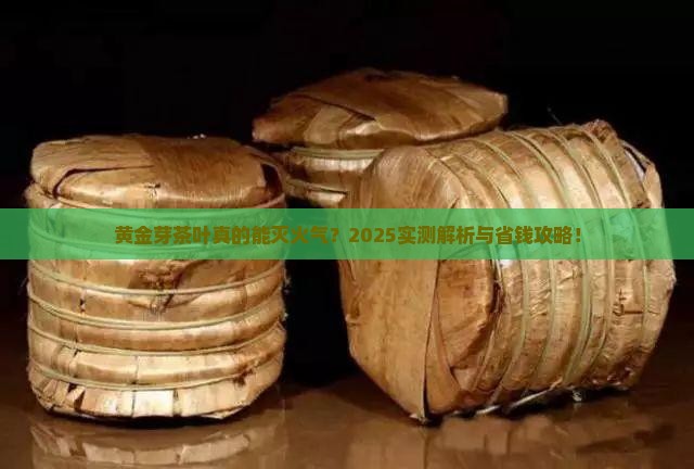 黄金芽茶叶去火吗
