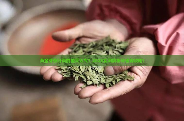 黄金芽茶叶去火吗