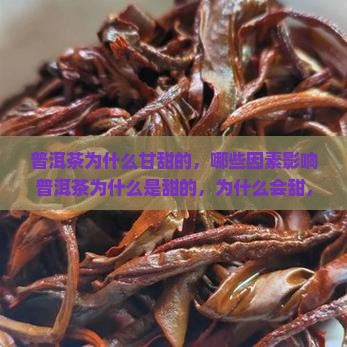 普洱茶为什么甘甜的