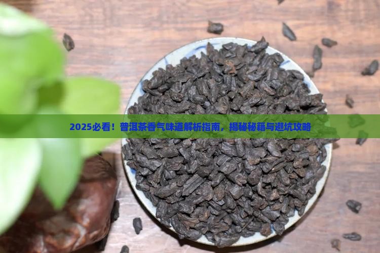 怎样弄懂普洱茶的香气和味道