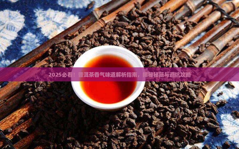 怎样弄懂普洱茶的香气和味道