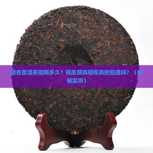 银杏普洱茶有保质期吗
