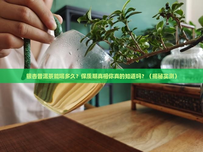 银杏普洱茶有保质期吗