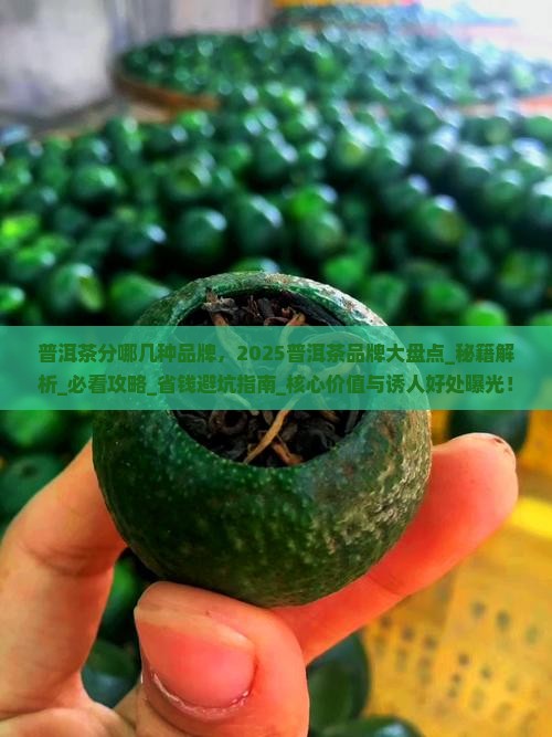 普洱茶分哪几种品牌