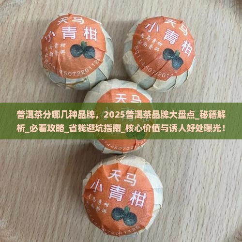 普洱茶分哪几种品牌