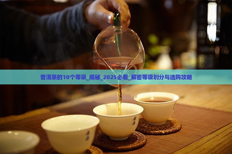 普洱茶的10个等级