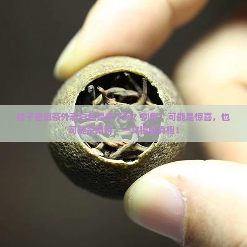 桔子普洱茶外表白色是坏了吗