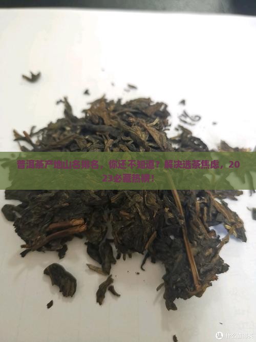 普洱茶产地山名排名