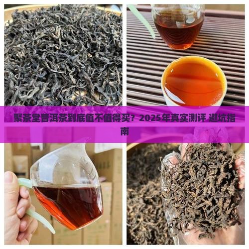 聚茶堂普洱茶怎么样