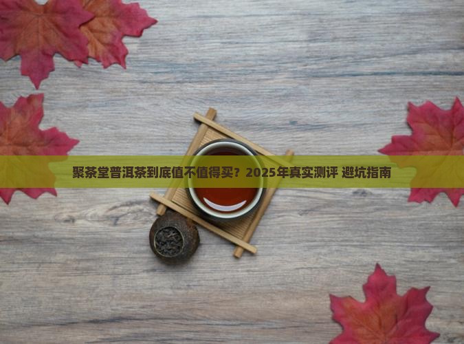 聚茶堂普洱茶怎么样