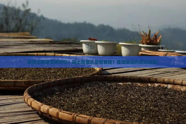 老唐记茶普洱茶好吗 老唐记茶普洱茶好吗