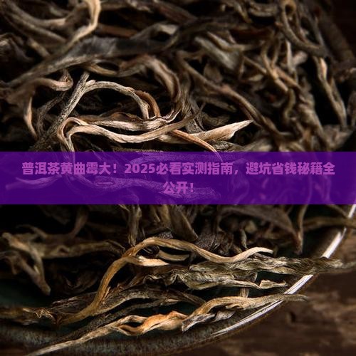 普洱茶黄曲霉的功效