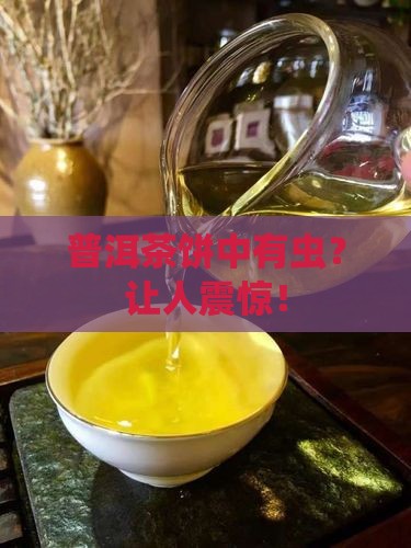 普洱茶饼中有虫