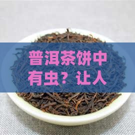 普洱茶饼中有虫