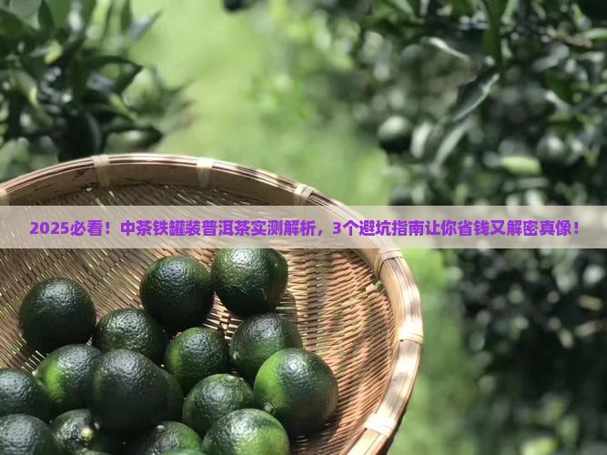中茶铁罐装普洱茶 中茶铁罐装普洱茶