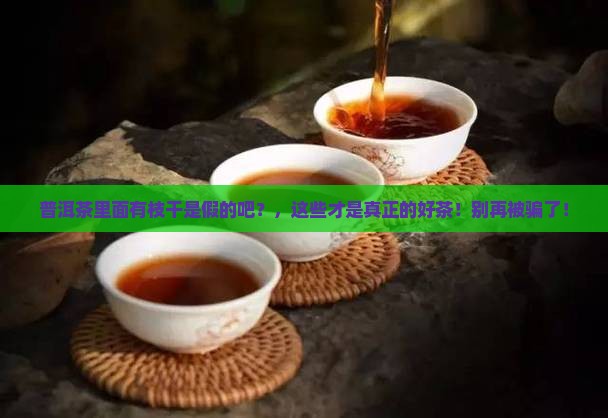 普洱茶里面有枝干是假的吧