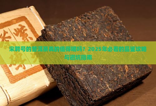宋聘号的普洱茶好喝吗