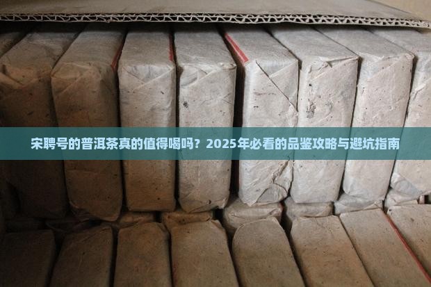 宋聘号的普洱茶好喝吗