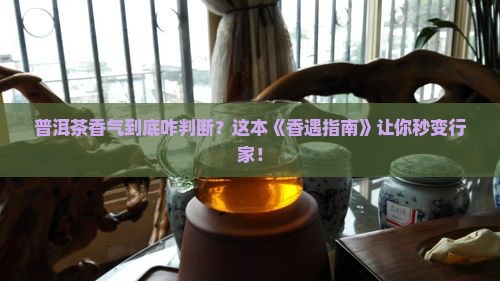 普洱茶香气判定