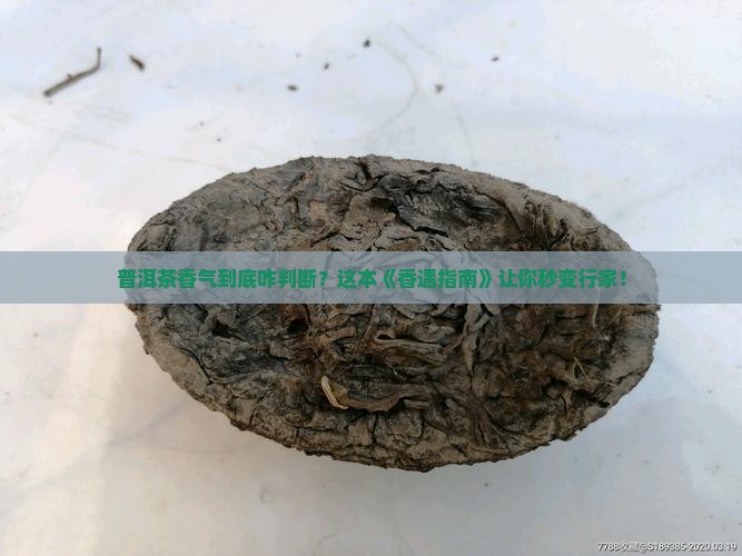 普洱茶香气判定