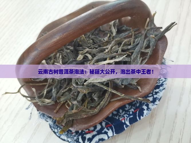 云南古树普洱茶泡法