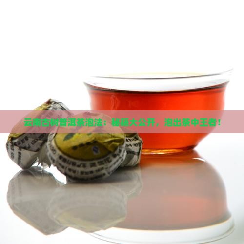 云南古树普洱茶泡法