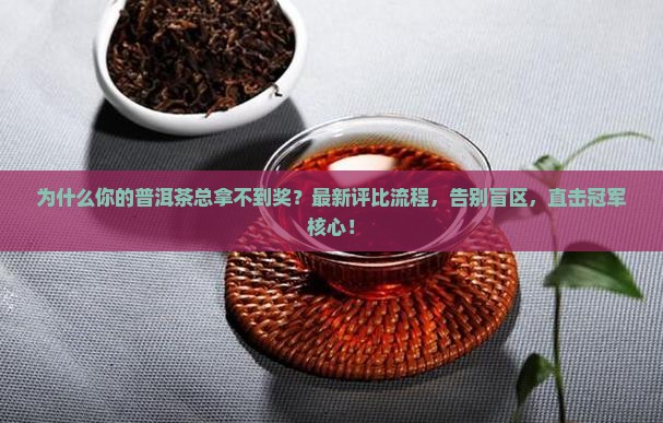 普洱茶评比过程