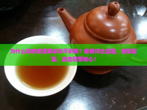 普洱茶评比过程