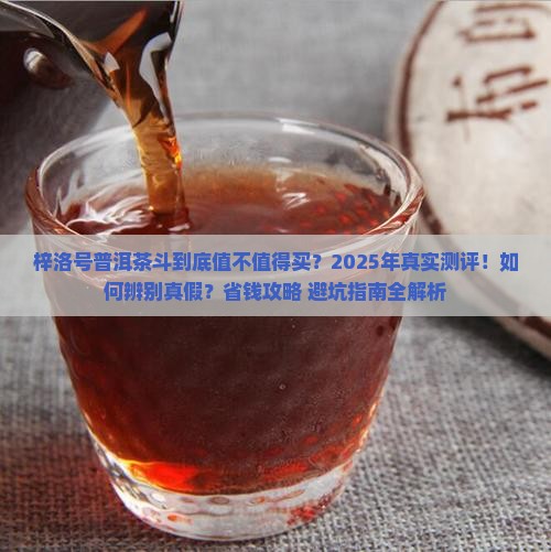 梓洛号普洱茶斗