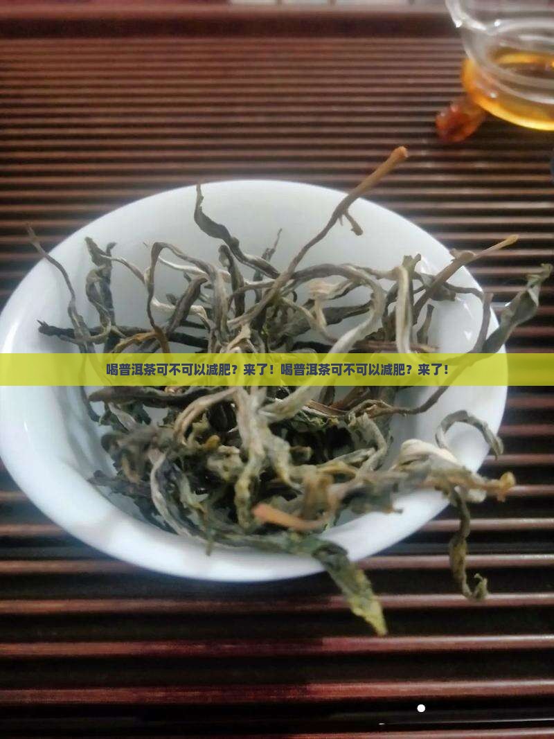 喝普洱茶可不可以减肥